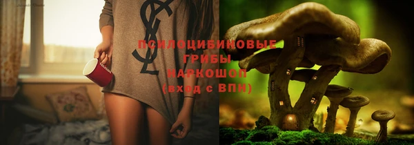 гидра Ельня