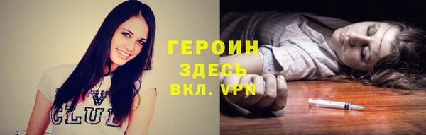 мдпв Дмитриев
