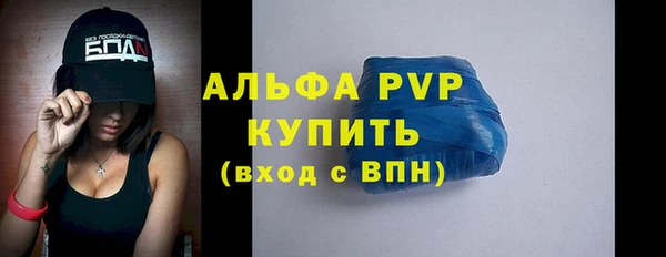 СК Елабуга