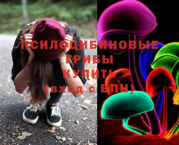 мдпв Бугульма