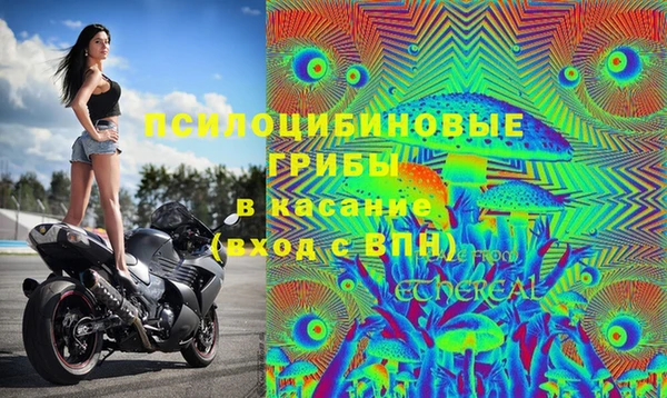 не бодяженный Бронницы
