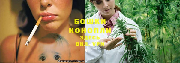 гашик Заволжск